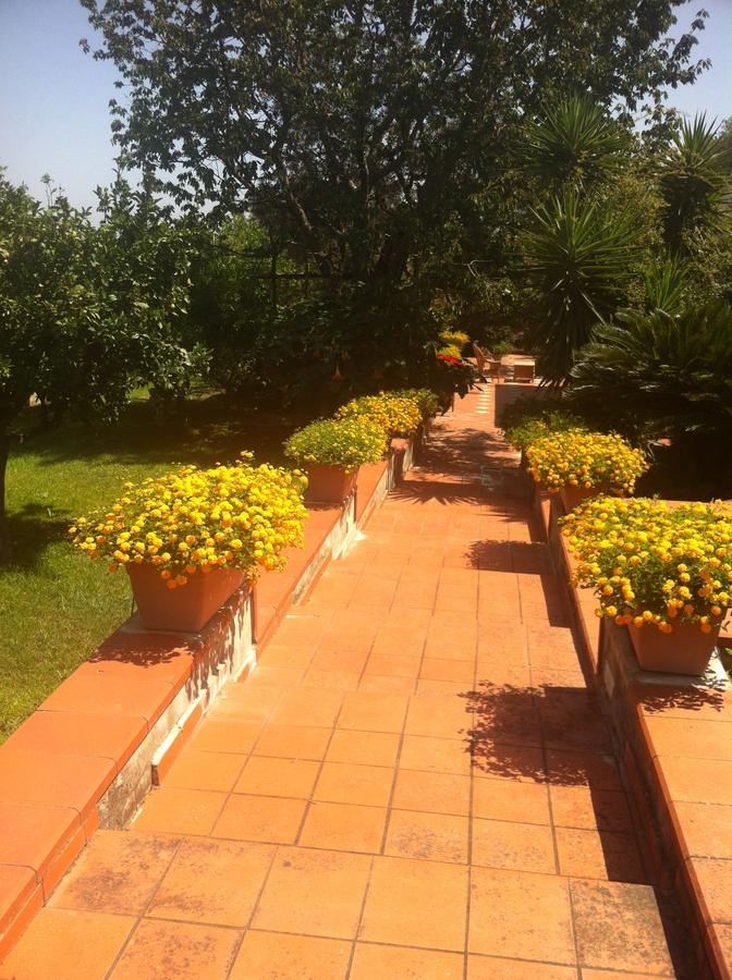 B&B Villa Irma Sorrento Eksteriør bilde